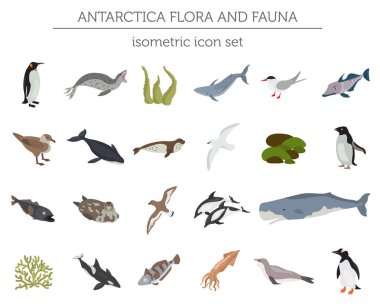 İzometrik 3d Antarktika flora ve fauna öğeleri eşleyin. Hayvanlar, b