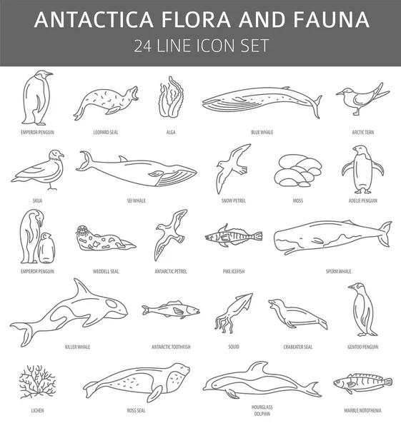 Flora plana da Antártida e elementos da fauna. Animais, aves e se —  Vetores de Stock