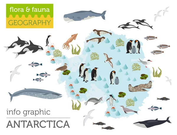Антарктика, Антарктида, карта флоры и фауны, плоские элементы. Аним — стоковый вектор