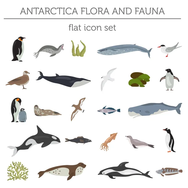 Antárctico, Antárctico, flora e fauna mapa, elementos planos. Anim. — Vetor de Stock