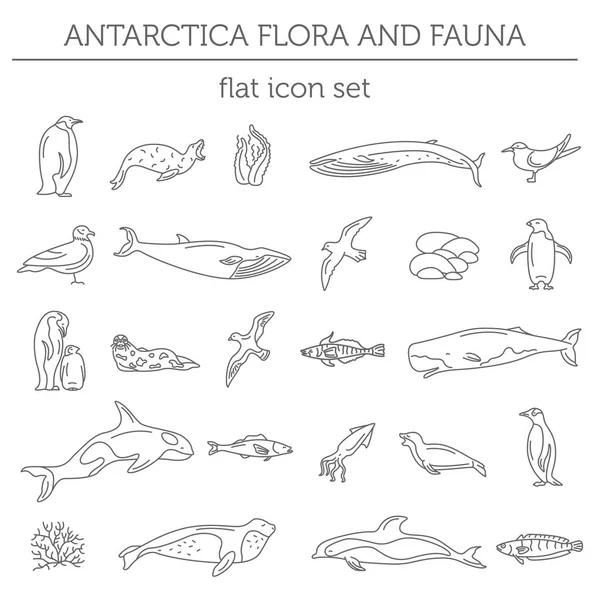 Flora plana de la Antártida y elementos de fauna. Animales, aves y animales — Archivo Imágenes Vectoriales