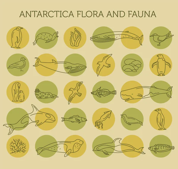 Flora plana de la Antártida y elementos de fauna. Animales, aves y animales — Vector de stock