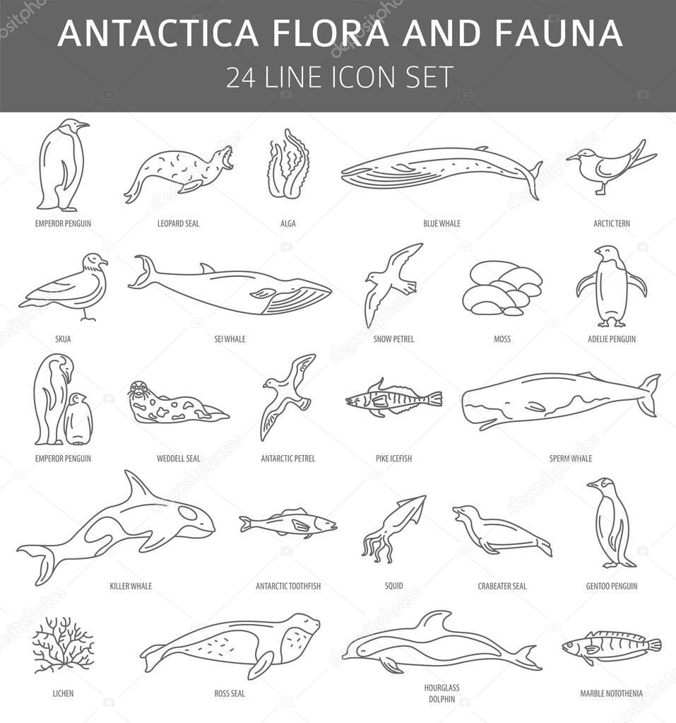 Flat Antarctica flora and fauna  elements. Animals, birds and se