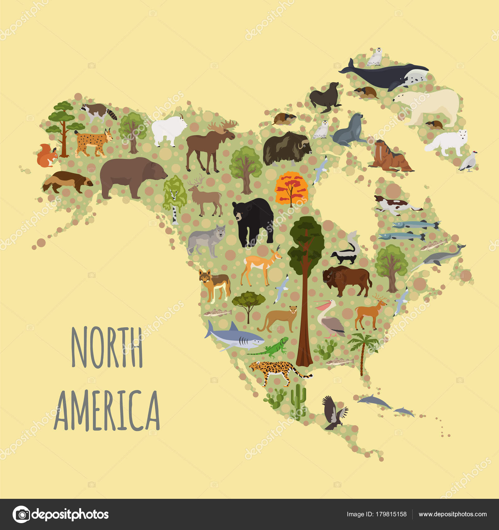 North America flora and fauna map, flat elements. Animals, birds Stock  Vector Image by ©A7880S #179815158