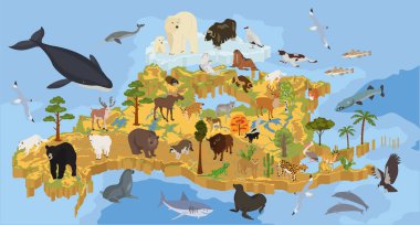 Isometric 3d North America flora and fauna map elements. Animals