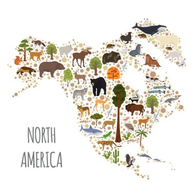 Kuzey Amerika flora ve fauna harita, öğeleri düz. Hayvanlar, kuşlar
