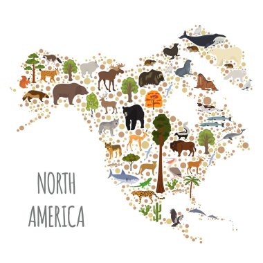 North America flora and fauna map, flat elements. Animals, birds