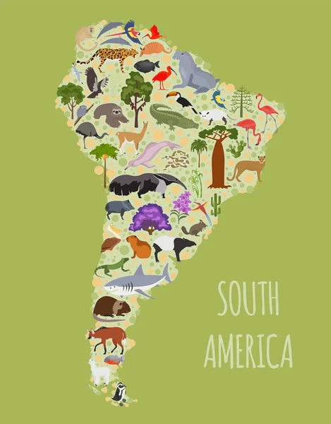 Amérique du Sud carte de la flore et de la faune, éléments plats. Animaux, oiseaux — Image vectorielle