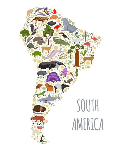 남미 동식물 지도, 평면 요소. 동물, 조류 — 스톡 벡터