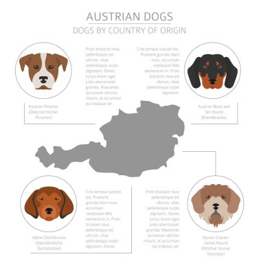 Ülke-in başlangıç köpekler. Avusturyalı köpek ırkları. Infographic temp