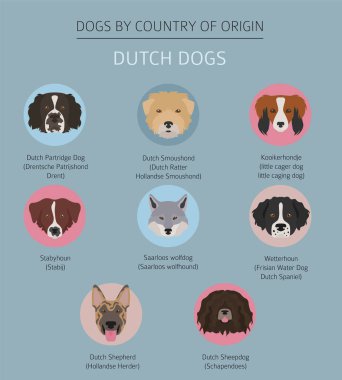 Dogs by country of origin. Dutch (Holland) dog breeds. Infograph clipart