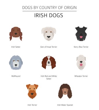 Dogs by country of origin. Irish dog breeds. Infographic templat clipart