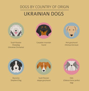 Ülke-in başlangıç köpekler. Ukraynalı köpek ırkları. Infographic tem