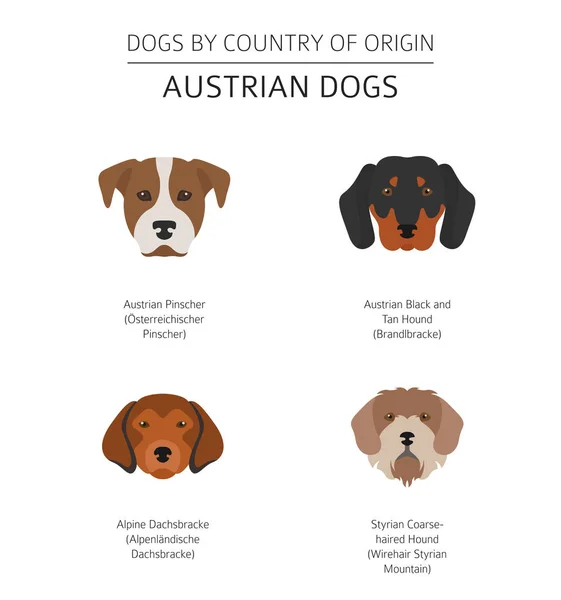 Perros por país de origen. Razas de perros austriacos. Temperatura de la infografía — Vector de stock