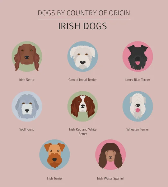 Honden per land van herkomst. Ierse rassen. Infographic templat — Stockvector