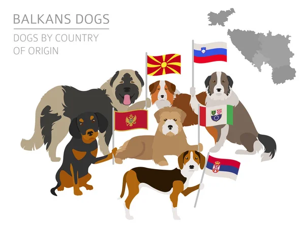 Cães por país de origem. Raças de cães dos Balcãs: Macedônio, Bosni — Vetor de Stock