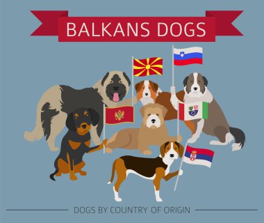 Ülke-in başlangıç köpekler. Balkanlar köpek ırkları: Makedonca, Bosni