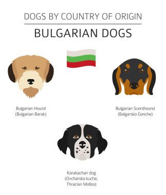 Ülke-in başlangıç köpekler. Bulgar köpek ırkları. Infographic tem