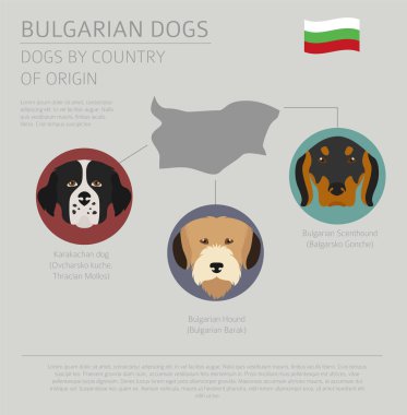 Ülke-in başlangıç köpekler. Bulgar köpek ırkları. Infographic tem