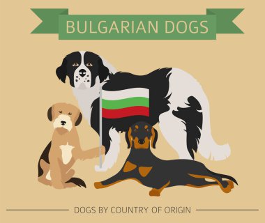 Ülke-in başlangıç köpekler. Bulgar köpek ırkları. Infographic tem