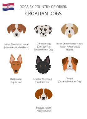 Ülke-in başlangıç köpekler. Hırvat köpek ırkları. Infographic temp