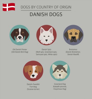 Ülke-in başlangıç köpekler. Danimarka köpek ırkları. Infographic templa