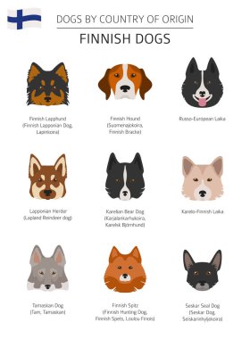 Ülke-in başlangıç köpekler. Fin köpek ırkları. Infographic depo