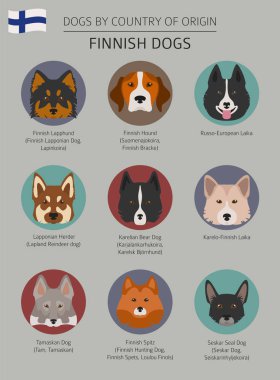 Ülke-in başlangıç köpekler. Fin köpek ırkları. Infographic depo