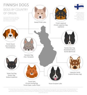 Ülke-in başlangıç köpekler. Fin köpek ırkları. Infographic depo