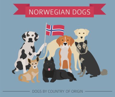 Dogs by country of origin. Norwegian dog breeds. Infographic tem clipart