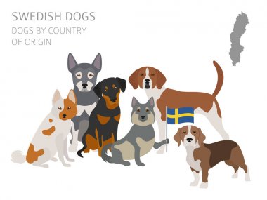 Ülke-in başlangıç köpekler. İsveçli köpek ırkları. Infographic depo