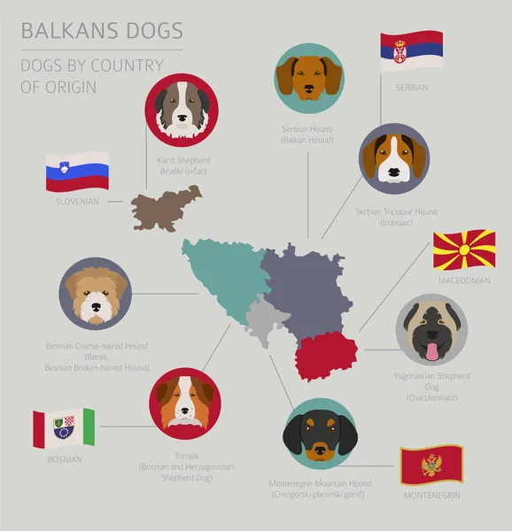 Psi podle země původu. Plemena psů Balkán: Makedonština, Bosni — Stockový vektor