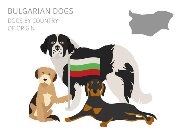 Psi podle země původu. Bulharská psí plemena. Infografika tem — Stockový vektor