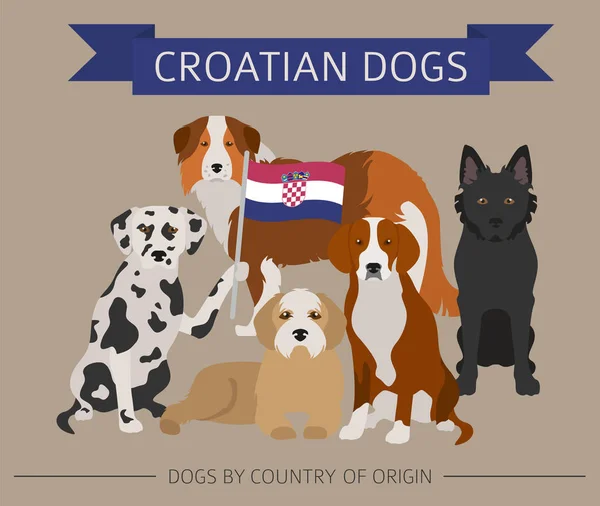 Cani per paese di origine. Razze di cani croati. Temperatura infografica — Vettoriale Stock