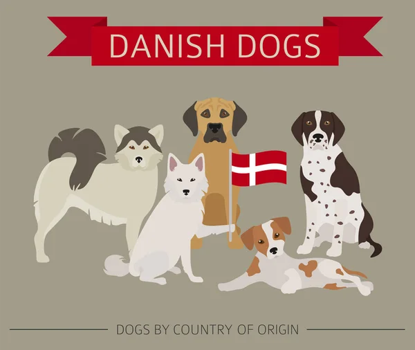 Honden per land van herkomst. Deense rassen. Infographic d — Stockvector