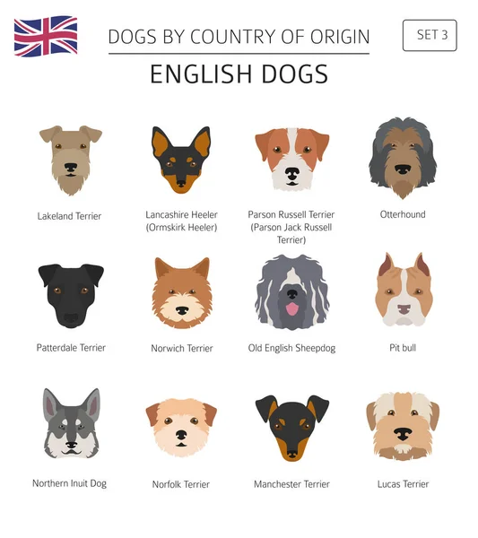 Perros por país de origen. Razas de perros ingleses. Infografía templ — Archivo Imágenes Vectoriales