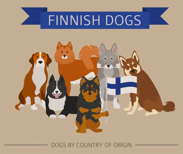Perros por país de origen. Razas de perros finlandeses. Infografía templ — Vector de stock