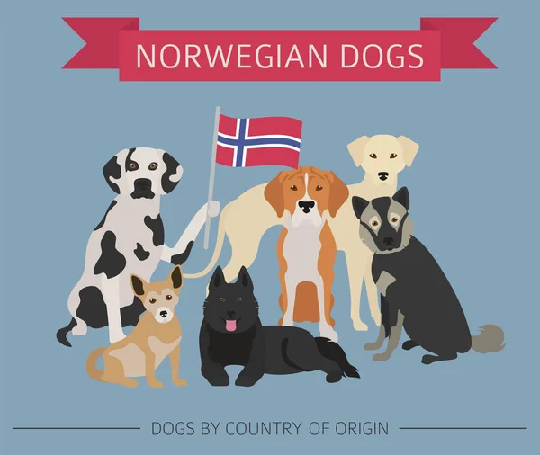 狗的原籍国。挪威狗品种。图表 tem — 图库矢量图片