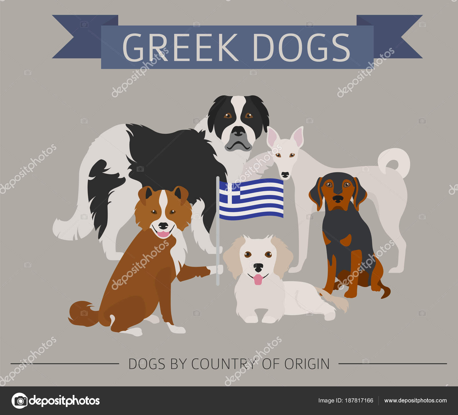 Dogs By Country Of Origin Greek Dog Breeds Infographic Templat Stock Vector C A7880s 187817166
