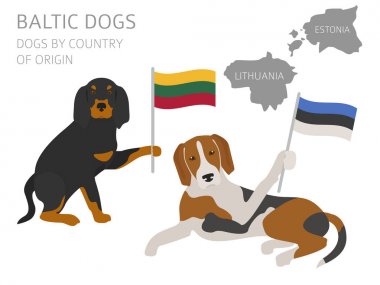 Ülke-in başlangıç köpekler. Baltık köpek ırkları. Infographic templa