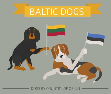 Ülke-in başlangıç köpekler. Baltık köpek ırkları. Infographic templa