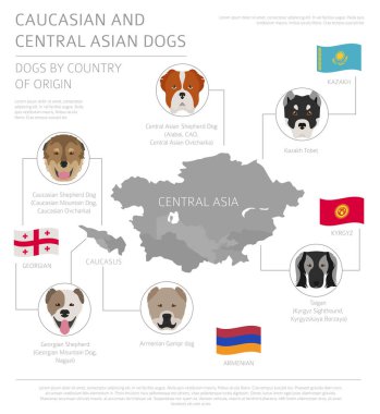 Ülke-in başlangıç köpekler. Kafkasya ve Orta Asya köpek doğurmak