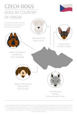 Ülke-in başlangıç köpekler. Çek köpek ırkları. Infographic templat