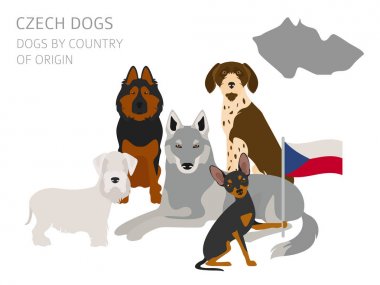 Ülke-in başlangıç köpekler. Çek köpek ırkları. Infographic templat