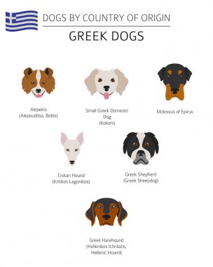Ülke-in başlangıç köpekler. Yunan köpek ırkları. Infographic templat