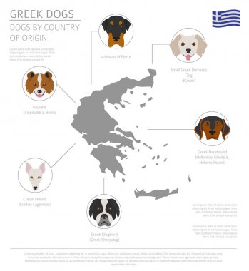 Ülke-in başlangıç köpekler. Yunan köpek ırkları. Infographic templat
