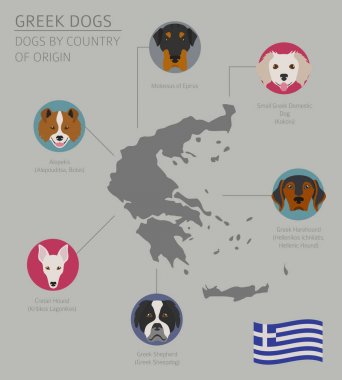 Ülke-in başlangıç köpekler. Yunan köpek ırkları. Infographic templat