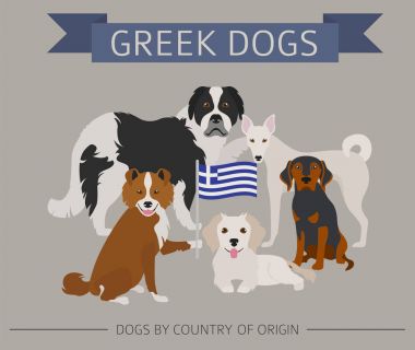 Ülke-in başlangıç köpekler. Yunan köpek ırkları. Infographic templat