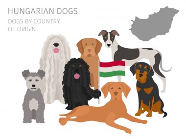 Ülke-in başlangıç köpekler. Macar köpek ırkları. Infographic tem