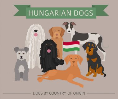 Ülke-in başlangıç köpekler. Macar köpek ırkları. Infographic tem